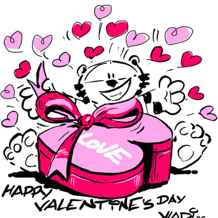 Collection image for: 💞VALENTINE’S DAY